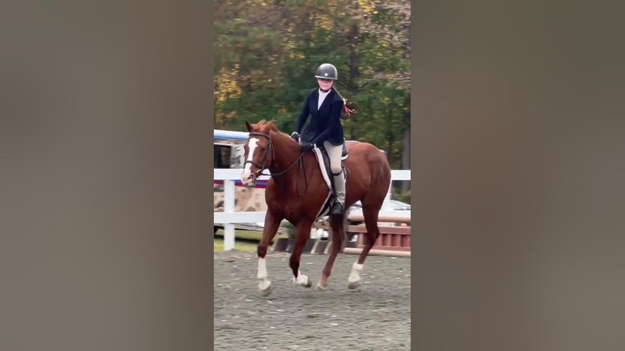Had the best short stirrup day in a whilee YouTube