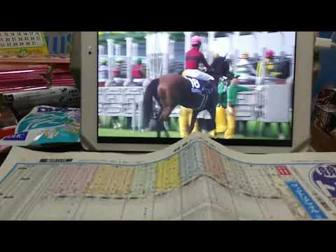 （競馬）第14回ヴィクトリアマイル（GⅠ）実況ダイジェスト