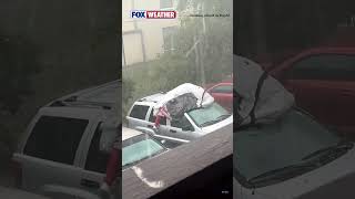 HAIL HERO: A man in Palm Bay, Florida Was Determined To Protect His Car From Damaging Hail