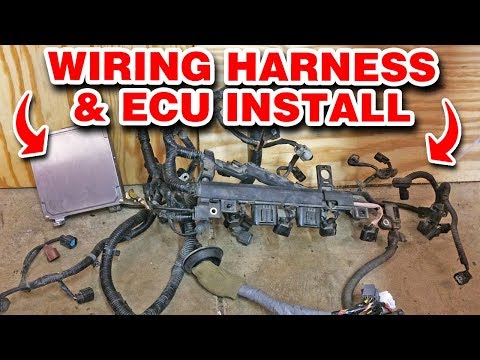 Installing The Wiring Harness And ECU | Manual Swap Pt. 7 | Project EM2