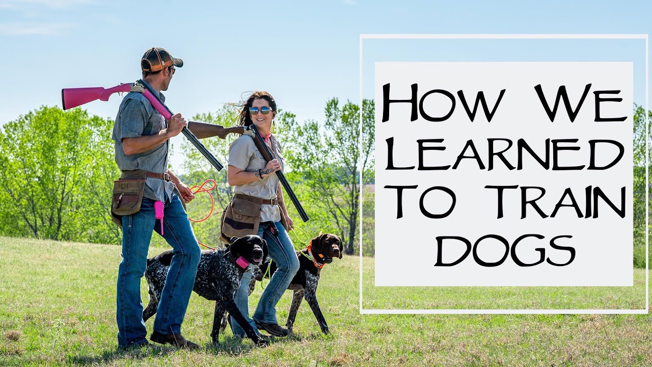 Puppy Prices & How We Learned To Train Dogs - You Ask We Answer Episode 17: Part 3