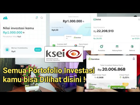 Akses KSEI Kustodian Semua Portofolio Investasi Kamu Bisa Dilihat Disini !