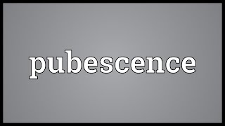 Pubescence Meaning