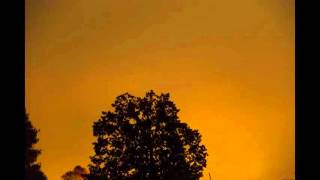 Super Lunar Eclipse Clouds timelapse Net Worth