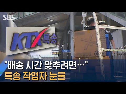 &amp;quot;배송 시간 맞추려 기차서 뛰어내려&amp;quot;…특송 작업자 눈물 / SBS