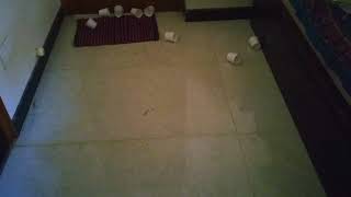 BEST REVERSE VIDEO😀😁😎