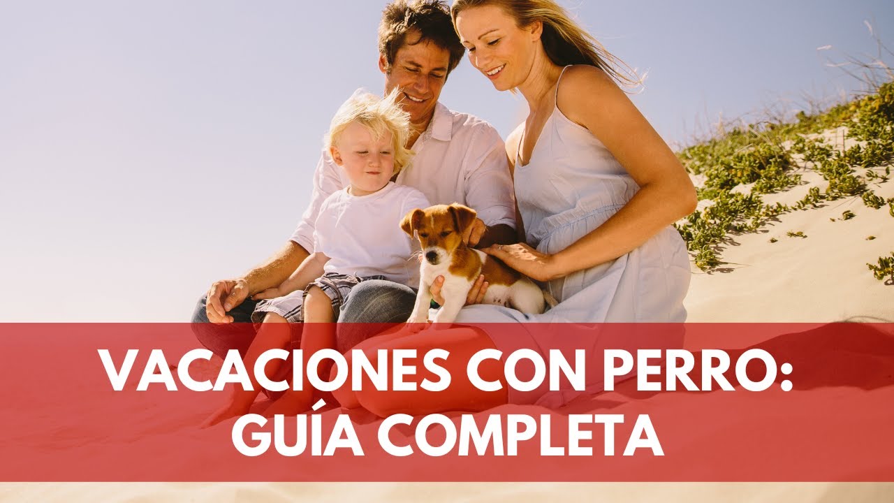 🏖️ VACACIONES CON PERRO🐶: GUÍA COMPLETA con planes PERFECTOS