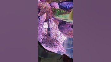 VGP ECR #chennai #marinekingdom #ecr#birthday #entertainment