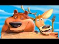 Colegas en el bosque 2 (2008) Película Completa｜Ver Aventura Online HD en Español Latino