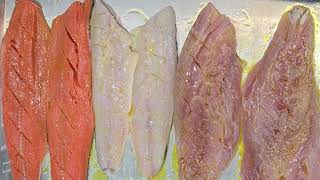 Seasoned Honey Glazed Salmon, Mahi Mahi, & Snapper