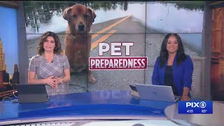 Preparing pets for emergencies