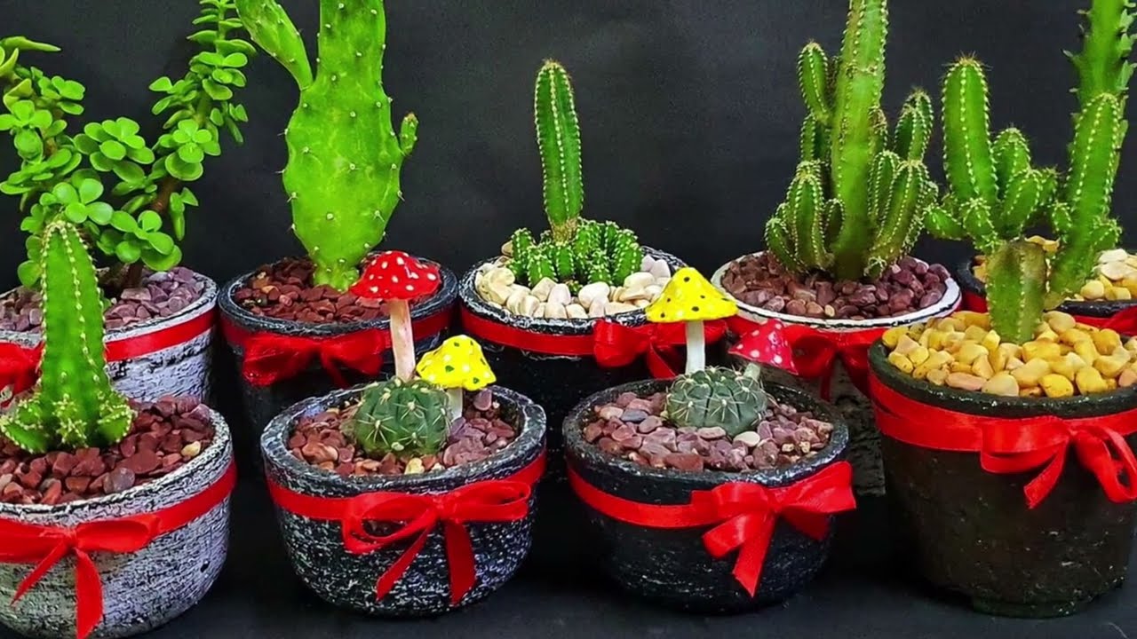A Story Of A Succulent Hobbyist Turned Enterprenuer - YouTube