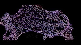 Searching for Complex Planar Network Growth -Live