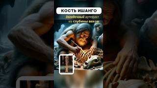 Кость Ишанго: древний калькулятор? #ишанго #математика #история #загадка #наука #ytshorts #shorts