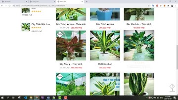 Giới thiệu đồ án website bán cây cảnh full báo cáo  -website cây cảnh online đồ án 2020