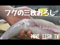 FUGU　 虎ふぐ　三枚おろし&磨き