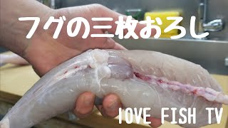 FUGU　 虎ふぐ　三枚おろし&磨き