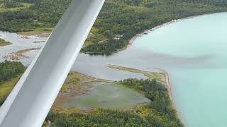 Flying Into Brooks Falls and seeing the 132s on 090522 HD