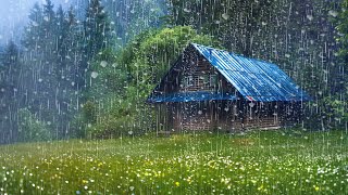 Instant Fall Asleep in 3 Minutes | Torrential Rain on Metal Roof & Powerful Thunder on Stormy Night