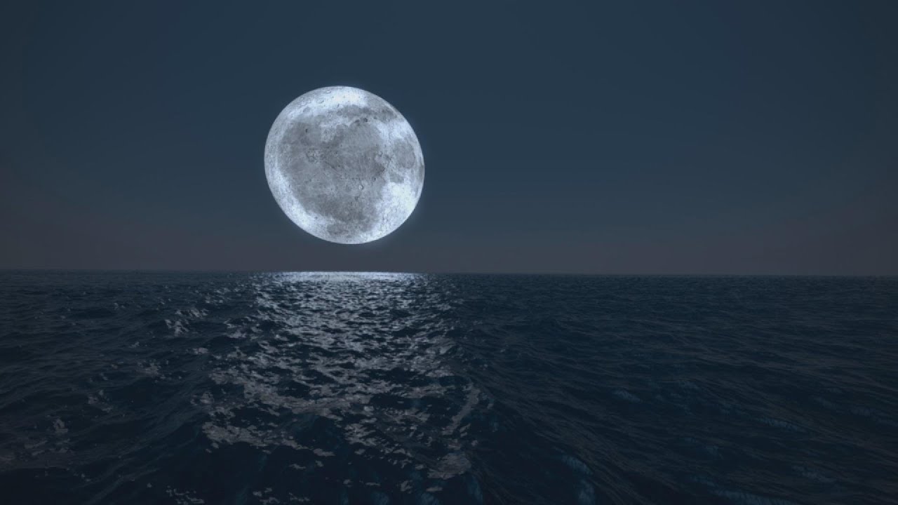 Calm Ocean Waves at Night 🌊 Deep Sleep Sound