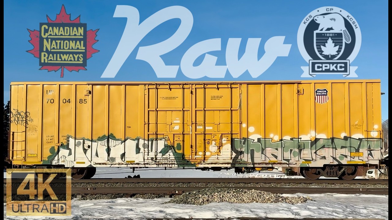 RAW POWER: THUNDERING CN & CPKC FREIGHT TRAINS SHAKE THE GROUND!