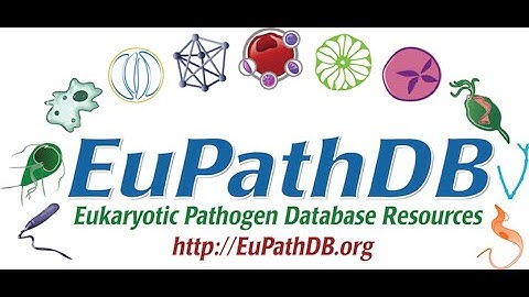 EuPathDB Release 40 Highlights
