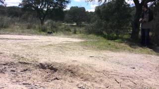 El Pardo Glamis Uno SCTE 20140323(1)