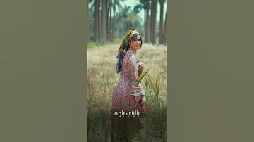 صلاح حسن تعب سهر SHORTS 