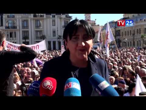 წინასაარჩევნო შეხვედრა