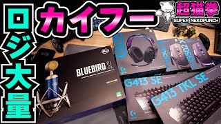 Logi Mass Kaifu! [Super Cat Fist] - YouTube