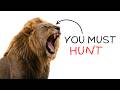 POV: YOUR LIFE AS A HUNGRY LION IN THE JUNGLE