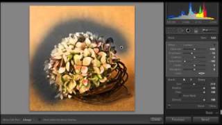 Converting Images to B/W in Lightroom 3 | Adobe Lightroom