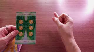 🦊 livramento de armadilha. Decepção. Superação e reviravolta. Fim de carma e maldição familiar 