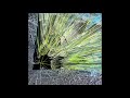 WHO DO YOU LOVE? CASSETTE DEMO CD-R / フー・ドゥ・ユー・ラブ trailer
