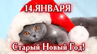 Со Старым Новым Годом! ОЧЕНЬ КРАСИВАЯ МУЗЫКАЛЬНАЯ ОТКРЫТКА!