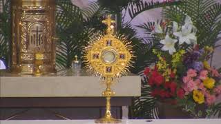 May 16, 2026 - Eucharistic Adoration
