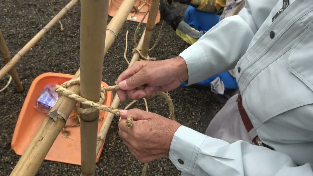 竹垣づくり 綾がけ結び① 冬囲い