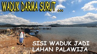 SISI LAIN DARI PESONA WADUK DARMA !! AIR SURUT DARATAN DIMANFAATKAN WARGA SEKITAR MENANAM PALAWIJA