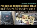 Pigeon dead induction Chula/cooktop Repair in Hindi#how to repair induction cooker! डेड होने के कारण