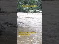 #notirapdio#elmundo#rio#youtubeshorts#vidareal#calles#noticias#colombiano#pueblo#publico#reels#água#