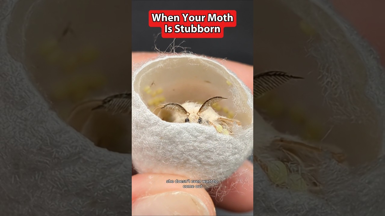 I love how they all have different personalities! 