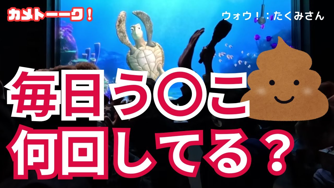 毎日う〇こ、何回してる？～なに聞いてるの！？w【東京ディズニーシー・タートルトーク】