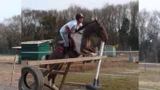Les chevaux et chloë.wmv