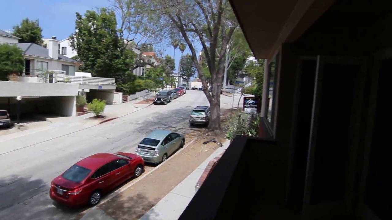 PL7561 Large 1 Bed + 1 Bath Apartment For Rent (Westwood Los