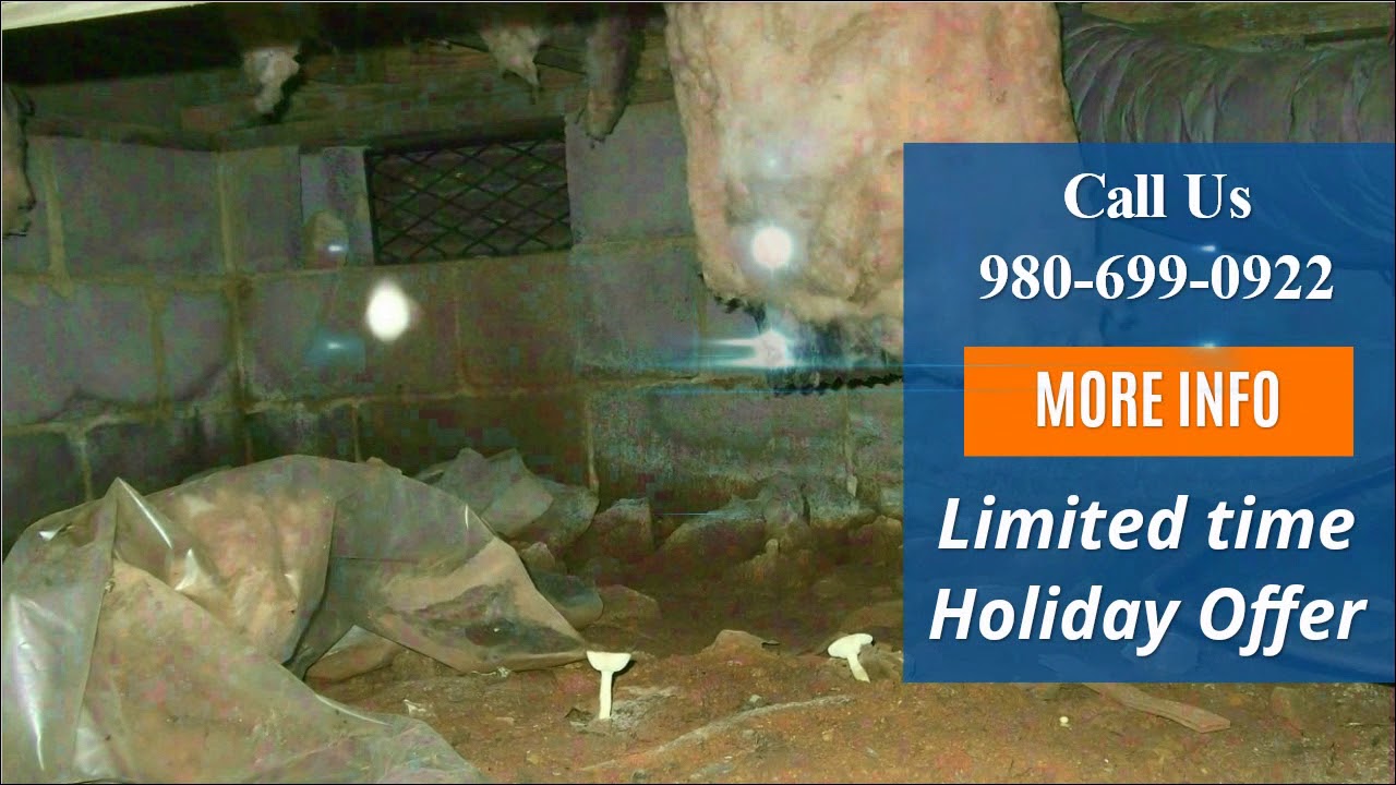 Crawl Space Encapsulation Contractor Near Me: It's Today's B