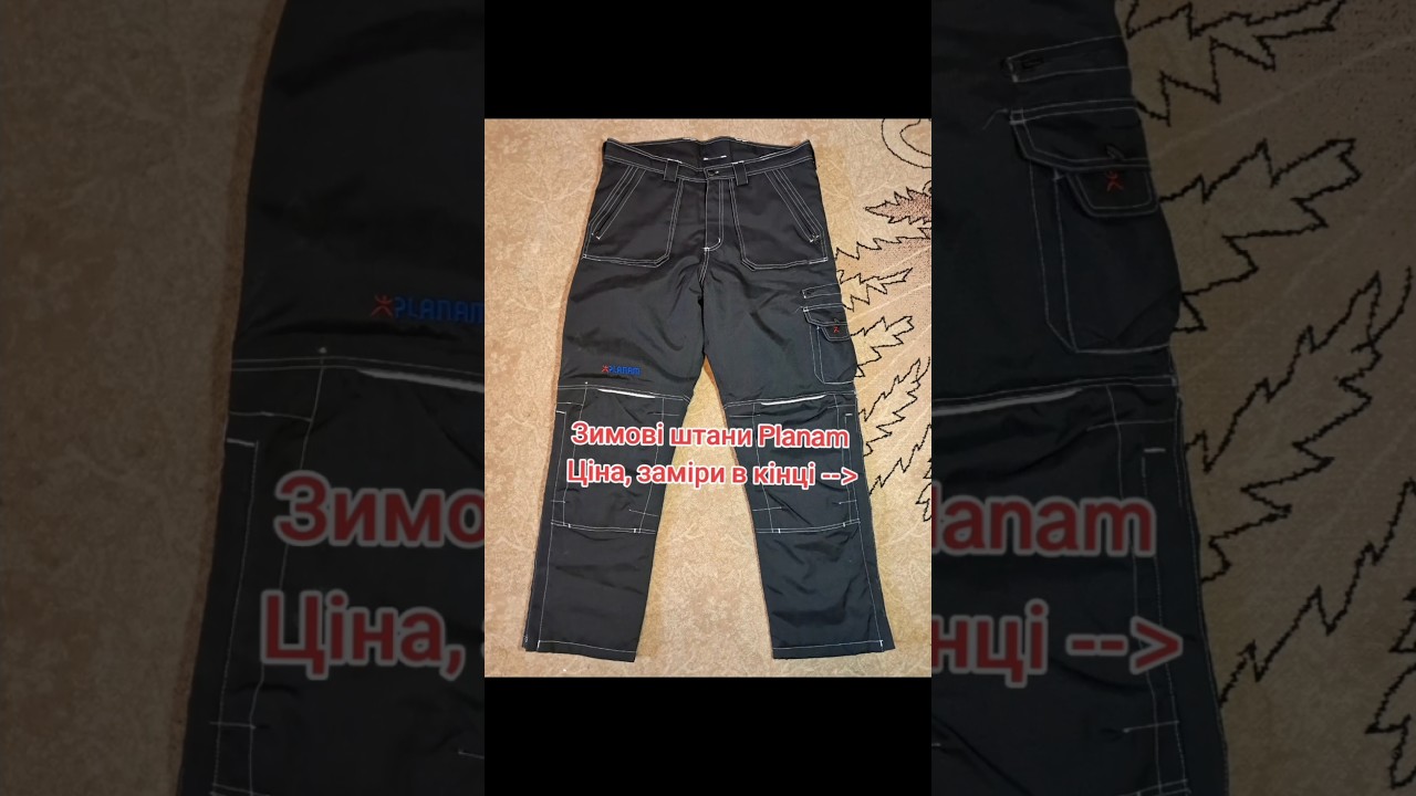 Зимові штани Planam