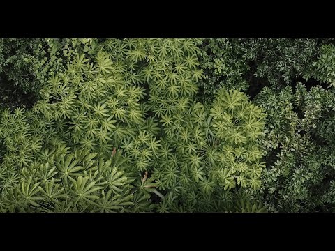 Natural Capital and