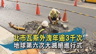 【TVBS新聞精華】202000615 十點不一樣  北市瓦斯外洩年逾3千次  地球第六次大滅絕進行式