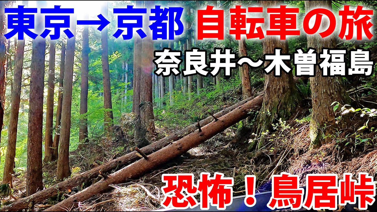 Part 7 | Traveling Across Japan For 330 Miles Only Using My