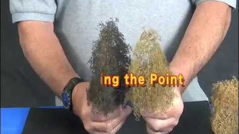 Tips for using SuperTrees MPEG 2 Program stream, 15 Mbps